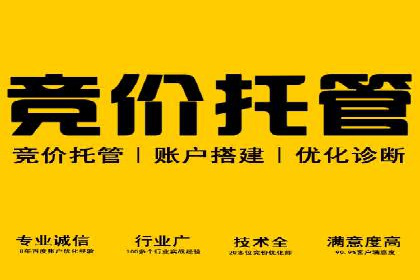 百度SEM竞价技巧，实战案例详解